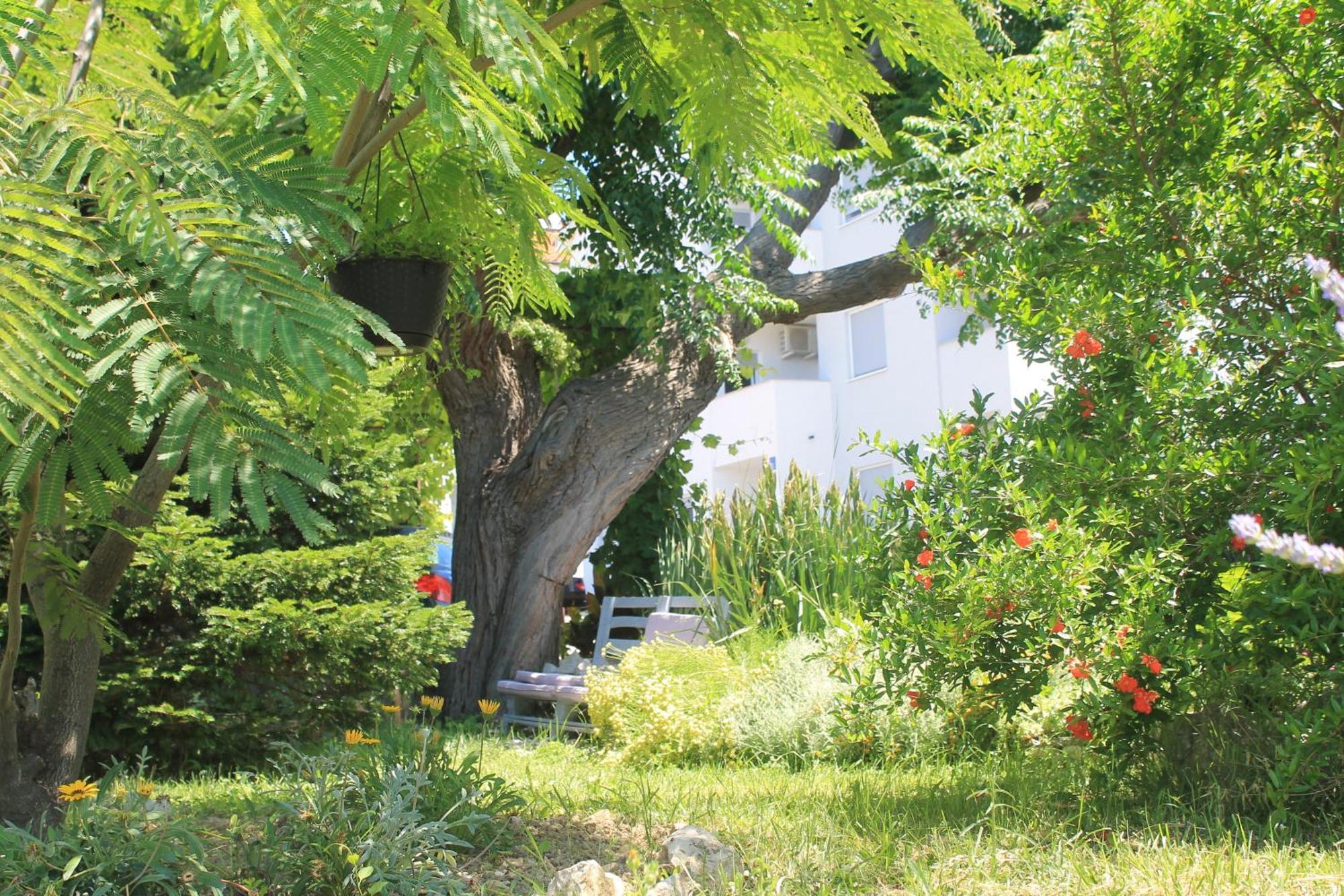 Apartments 501 - Spacious And Bright Apartment On Island Of Rab Rab Town Kültér fotó