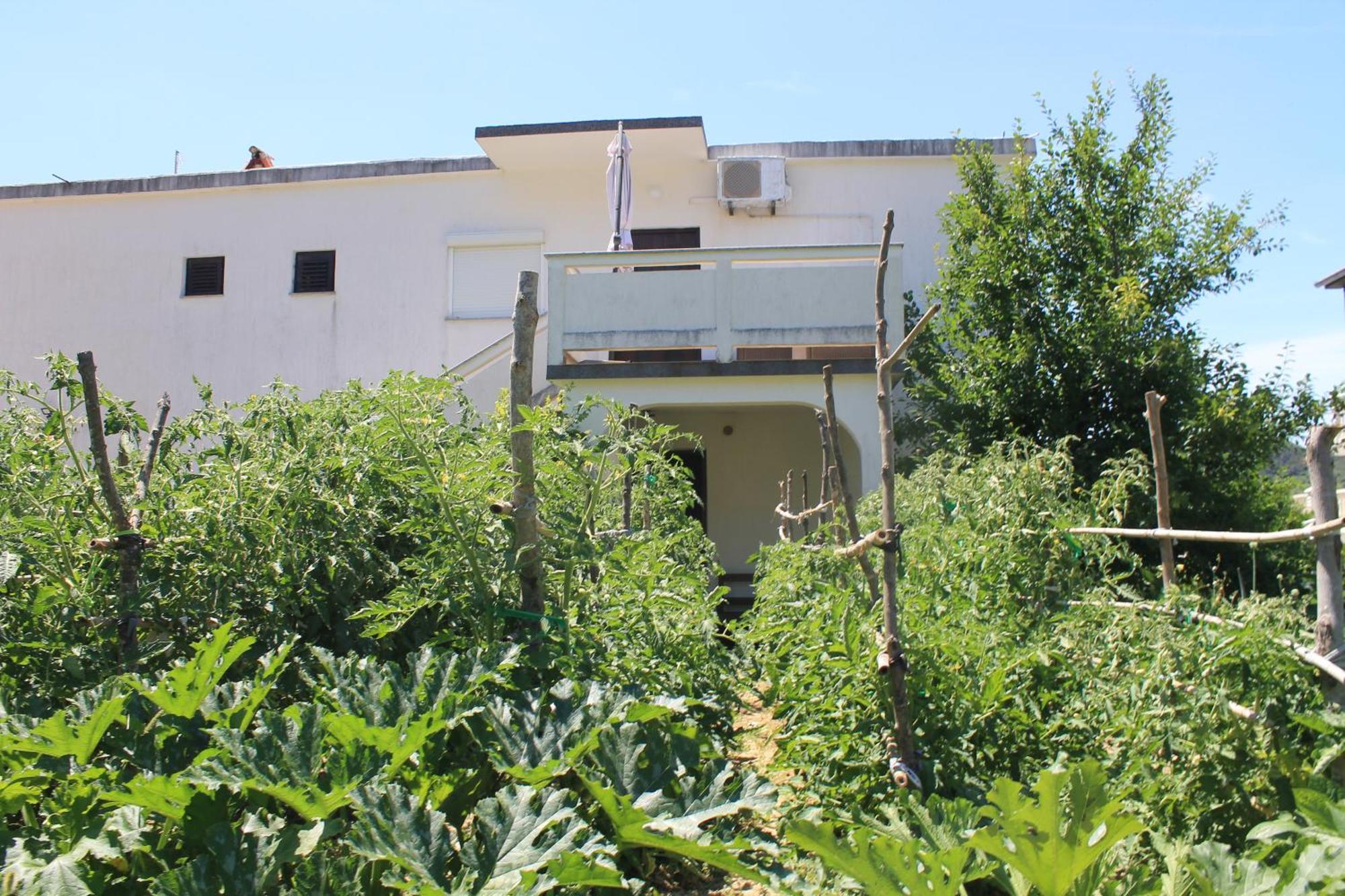 Apartments 501 - Spacious And Bright Apartment On Island Of Rab Rab Town Kültér fotó