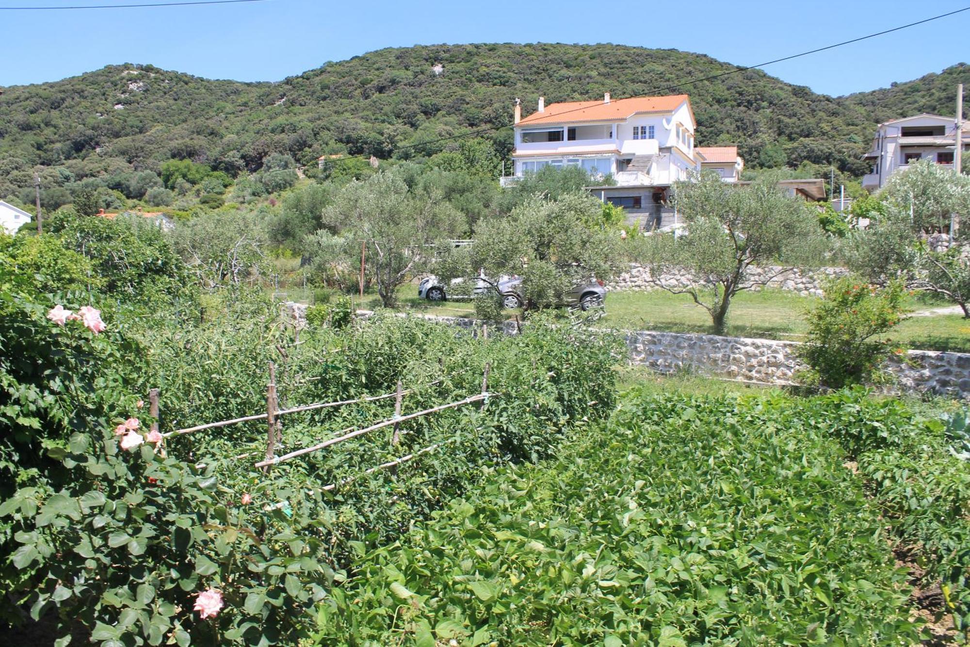 Apartments 501 - Spacious And Bright Apartment On Island Of Rab Rab Town Kültér fotó