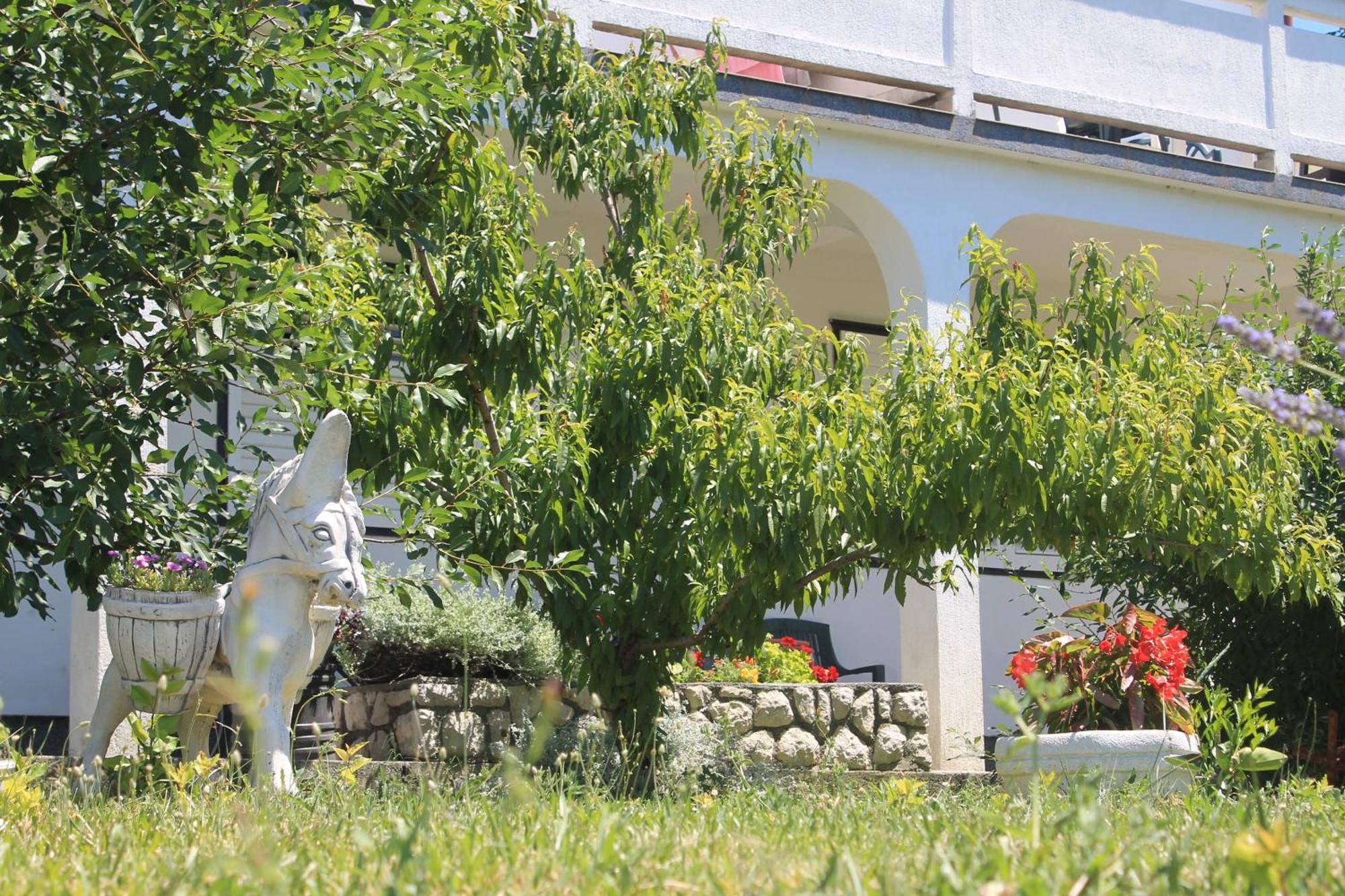Apartments 501 - Spacious And Bright Apartment On Island Of Rab Rab Town Kültér fotó
