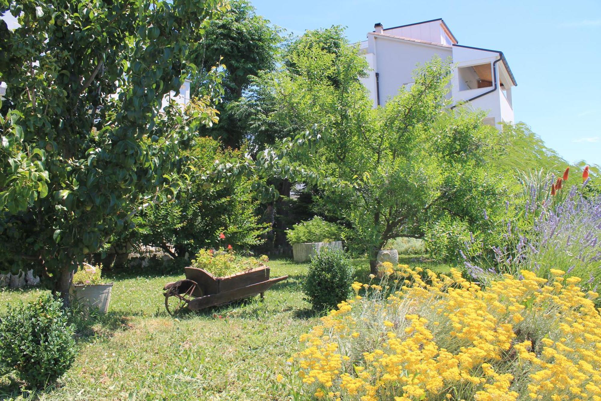 Apartments 501 - Spacious And Bright Apartment On Island Of Rab Rab Town Kültér fotó